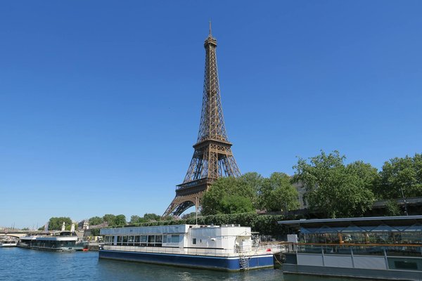 Quels sont les meilleurs spots pour observer les baleines à bosse en Islande?