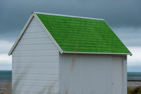 Quelles croisières offrent des excursions pour observer les manchots en Antarctique?